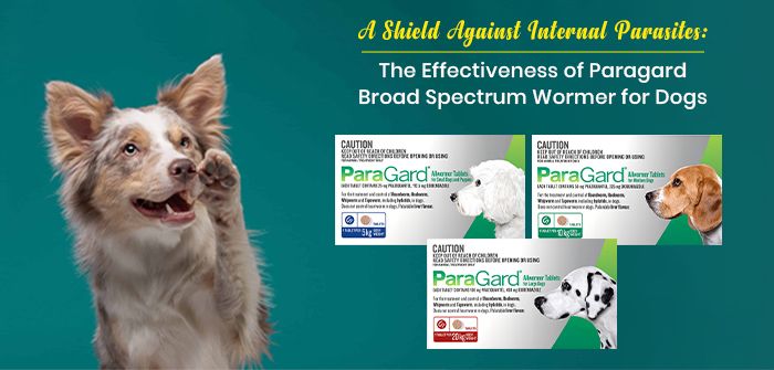 A Shield Against Internal Parasites: The Effectiveness of Paragard Broad Spectrum Wormer for Dogs